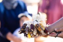 İzmir’de Toprağa Dokunan Eller