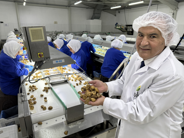 Kuru İncirde İhracat Tarihi Rekor Kırdı