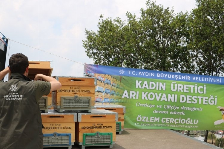 Aydın Büyükşehir, Kadın Arıcılara Kovan Desteği Sunuyor
