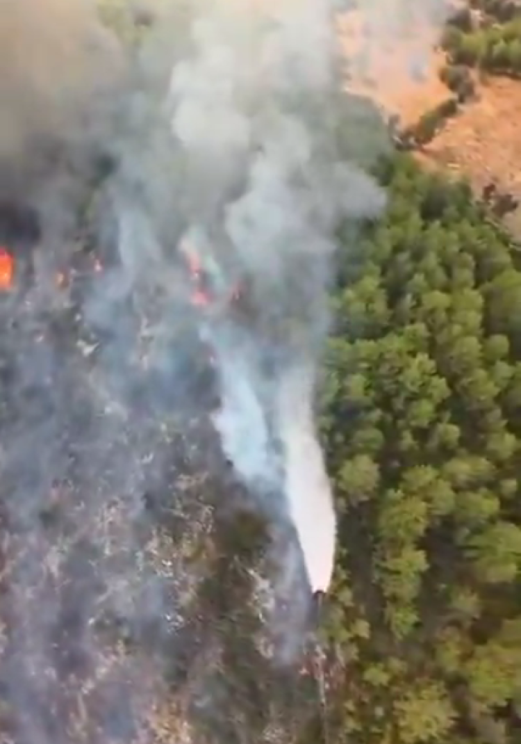 Muğla Seydikemer’de Orman Yangınına Müdahale Sürüyor