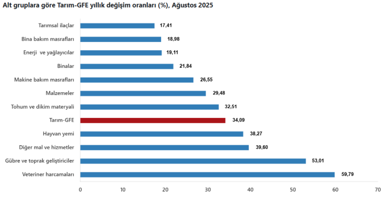 Veteriner harcamaları rekor seviyeye ulaştı